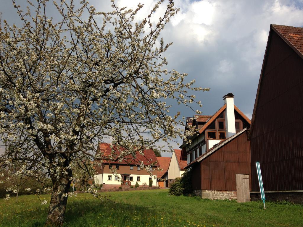 Weisbach  Ferienhaus Annabell מראה חיצוני תמונה
